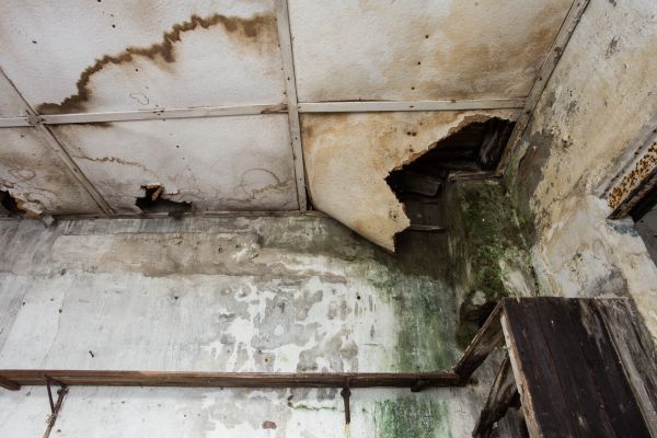 Water Damage Service in Clarkston