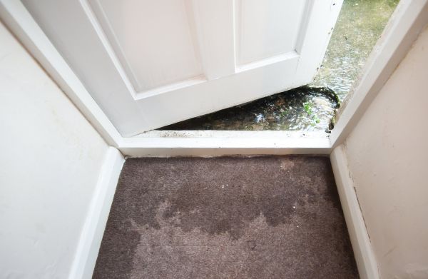 Wet Carpet Restoration in Clarkston