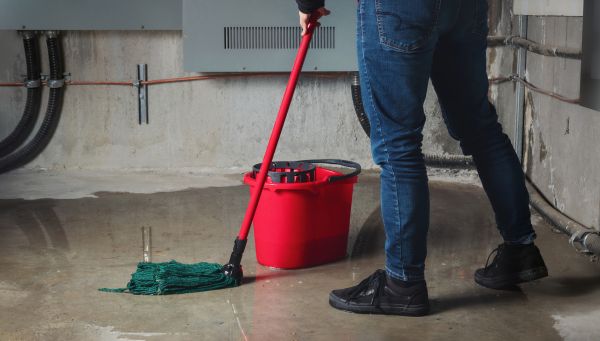 Cost of Flooded Basement Cleanup in Clarkston