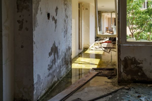 Water Removal Service in Clarkston
