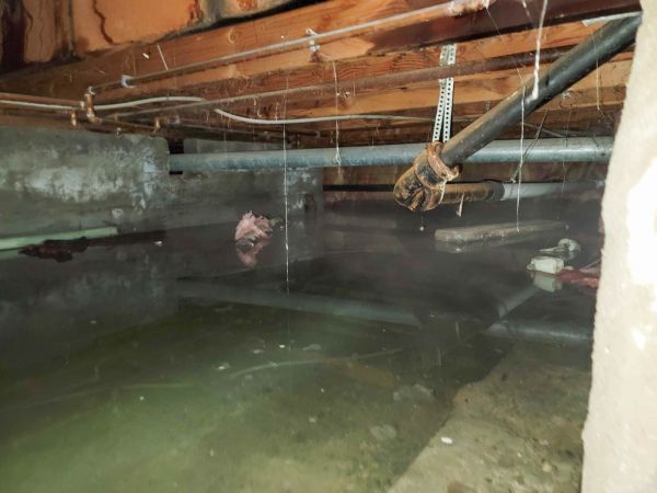 Cost of Water Mitigation Service in Clarkston